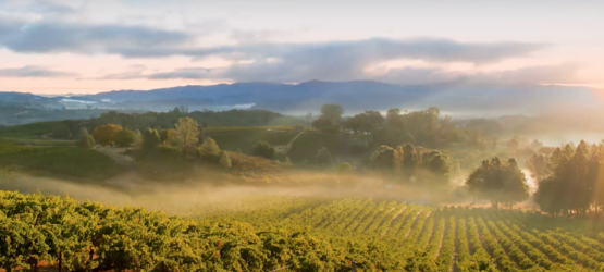 California Wines – Golden State of Mind
