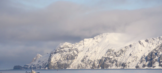 Why Alaska Seafood?