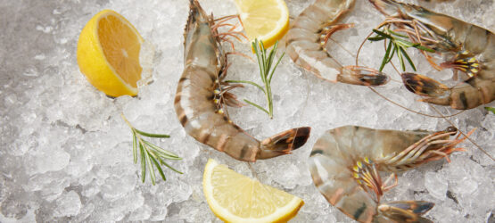American Shrimp – A Small Treasure Trove Of Great Taste